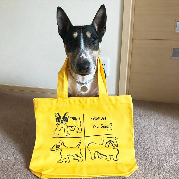 D88cbee2 f69c 41a5 aefb d7f19f3c2a1f 1520586862760