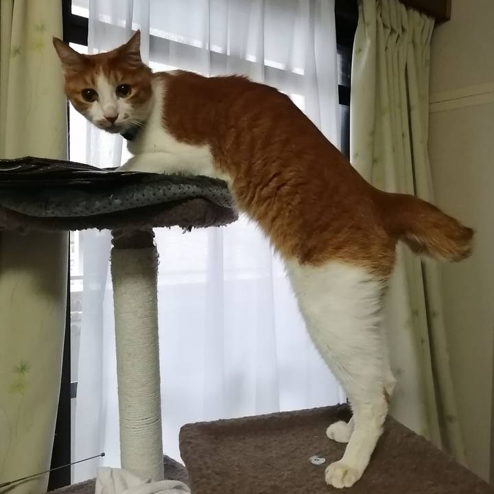 D88d2875 1e93 4a92 a4d6 de3693b28791 1619848510972