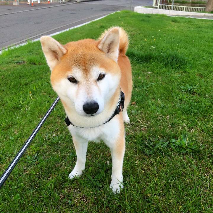 D88d71a4 3848 4c58 b8b3 d753ace2c377 1589365562317