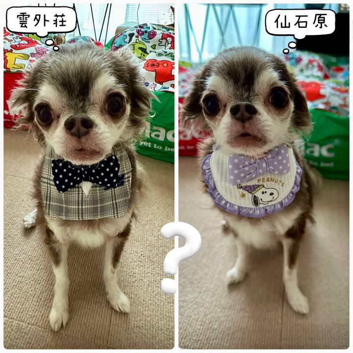 D88d8c25 31be 40e8 aa83 7257d2e21449 1734873435415