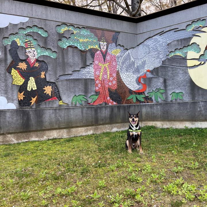 D88db5f5 c339 4b4f 8cf0 11c778170c52 1617454653218