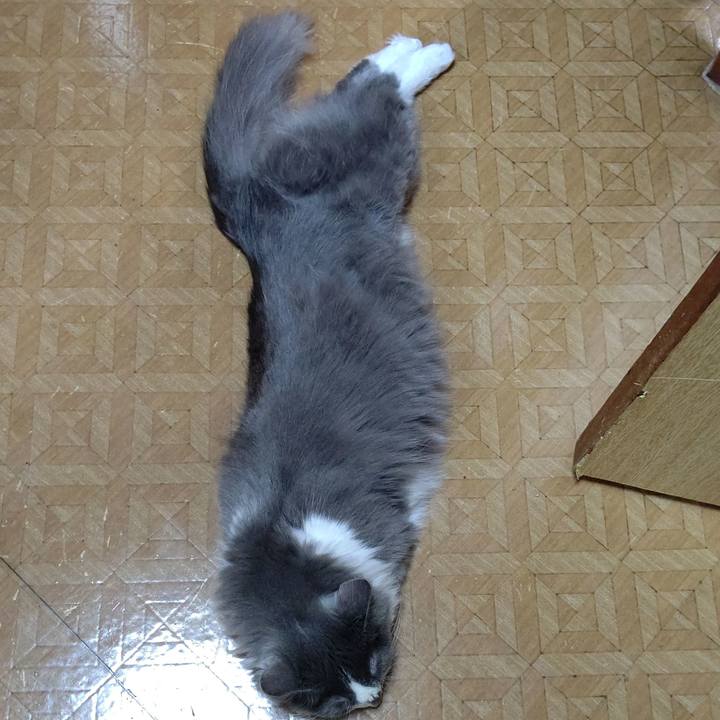 D88de281 b129 4868 8571 75cdd33675c0 1578477844413