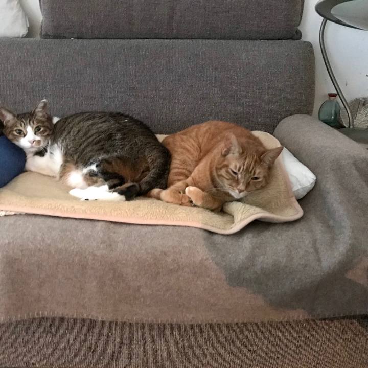 D88e16dc 1509 4e7e 8308 df53e8ce01a4 1582006071057