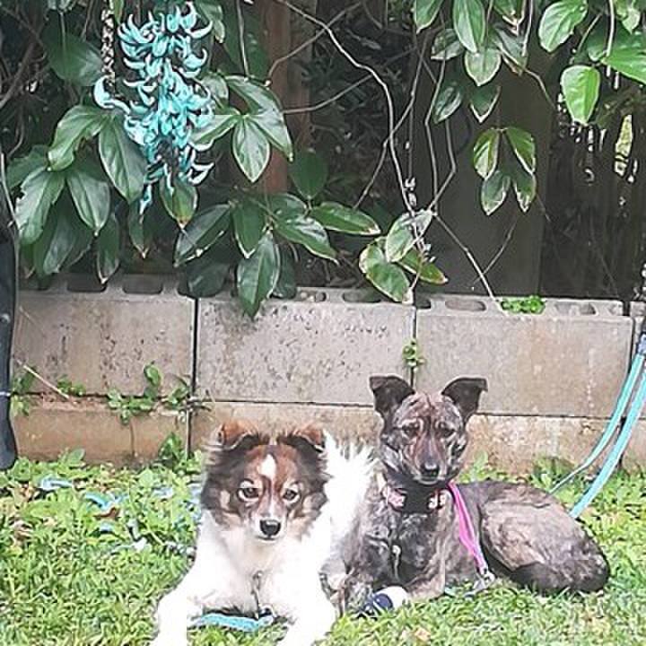 D88e369e e55c 46fe 8ad8 c657fc820297 1583221770237