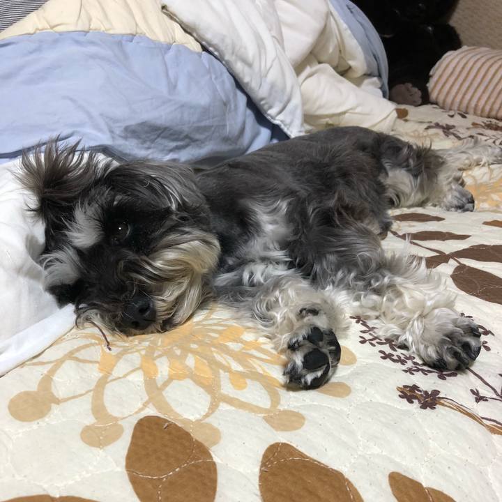 D88e43f8 3a89 471f 891c c9f3659b9832 1528036748606