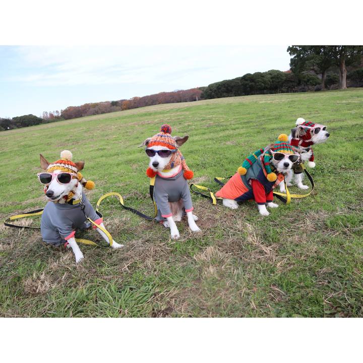 D88e4d9d 4e95 427e 8ec9 b4d968b55533 1765374877028