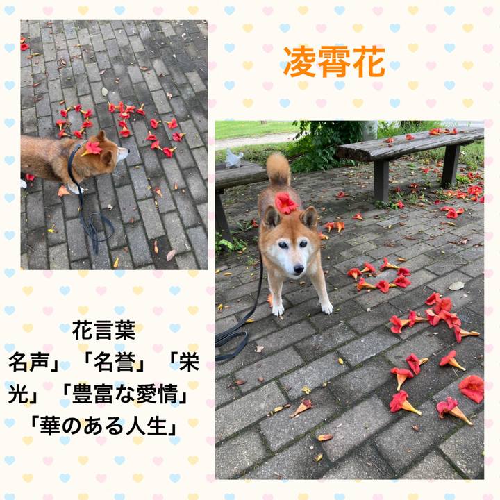 D88e58ec c97f 4aa0 91fa c0cf844b9239 1687493665976