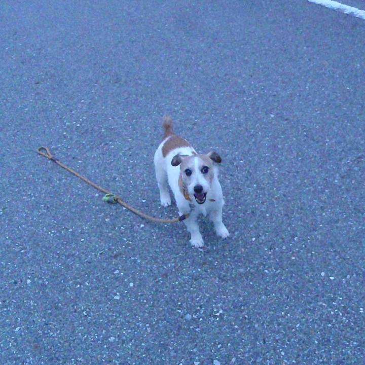 D88e59f2 ec10 4126 927e 7ade427166f7 1538472596735