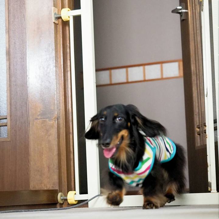 D88e7998 1522 4223 84a2 c749208ad8e5 1528762440343