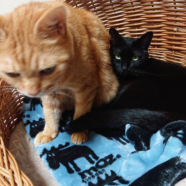 D88eb1de fe6f 4ea7 9287 d2497f1f3680 1663805395411