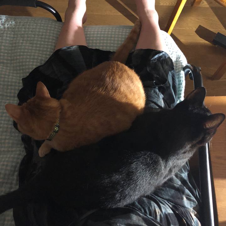 D88eb25d 1836 4081 a5c8 01798e3bf13b 1724239395540