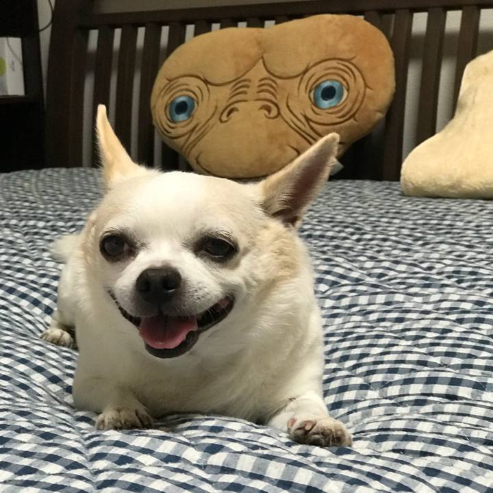 D88ec0a7 7dee 4c38 9871 2345e7fcf0e4 1536848400141