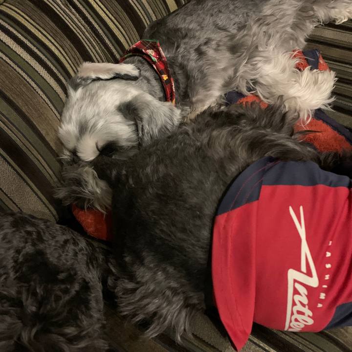 D88ec347 88e4 45f2 b2b9 916ebfd5beda 1607941565775