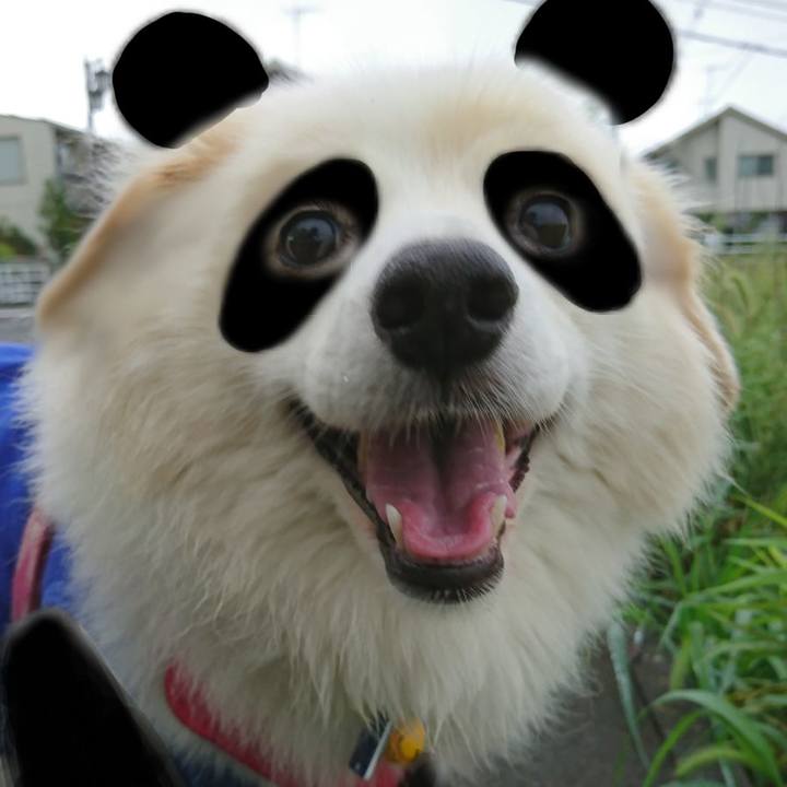 D88edb84 e2b8 4b8a aa2b 52ea5ab4afce 1537073419599