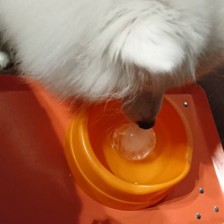 D88f401a e72f 4afb 8058 6ad55efe7a3e 1563372441430