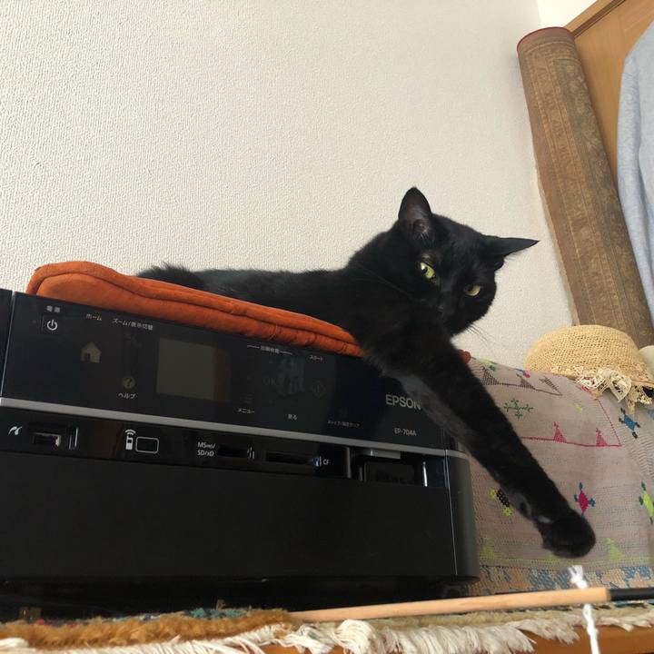 D88f4060 074f 4422 afdc 22ba8f545aeb 1560671589721