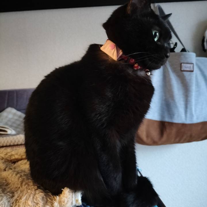 D88f6f87 40ad 48ca acbf bd2c9c783650 1642030080701