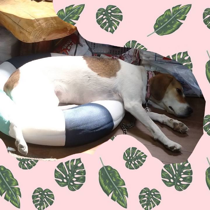 D88fa89b 6020 4964 9be5 435af6bae3c6 1598249477753