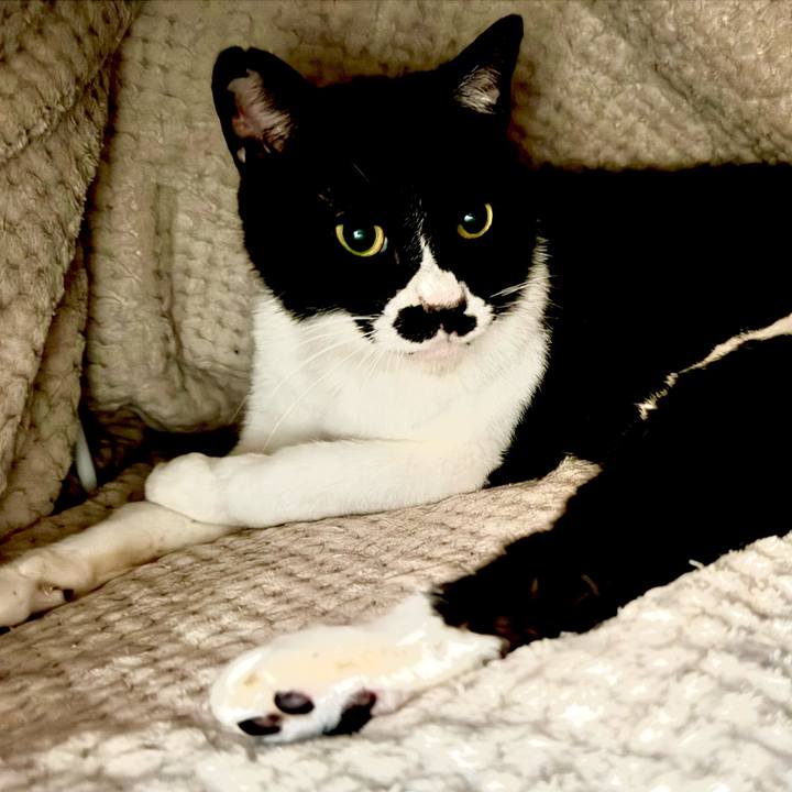 D88fb9f4 eb69 44b2 94b3 90425028573a 1746489807645