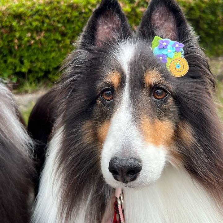 D88fc44e b105 4042 86b6 5e1817514c3a 1687797157120