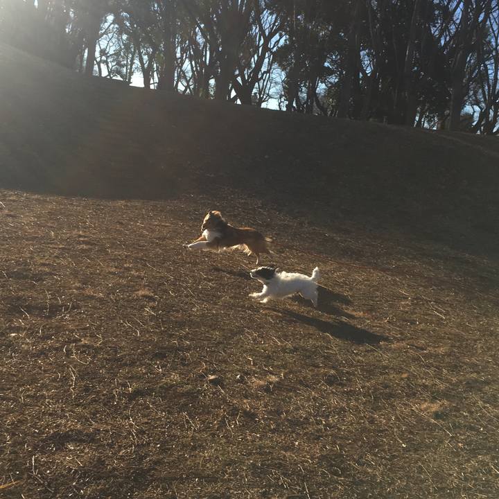 D88fd53e c3bb 4c6d 8106 db7b9b6d02ff 1516054353117