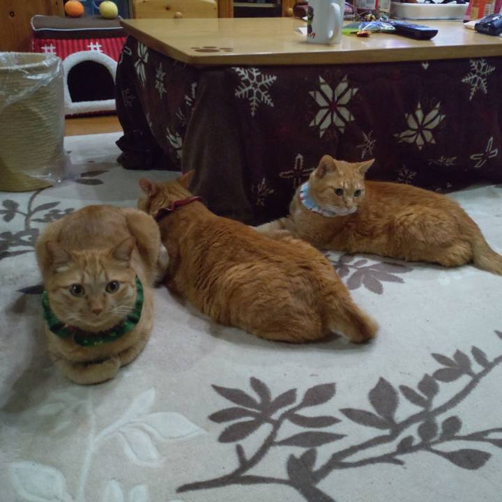 D88fdfb5 bec4 4674 81fc acda28ed944c 1644760880644