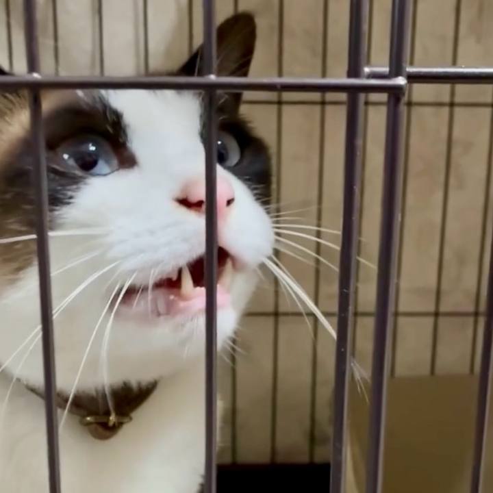 D89007c0 6c0f 40bc 8d04 7abf10a1a4f2 1749470906622