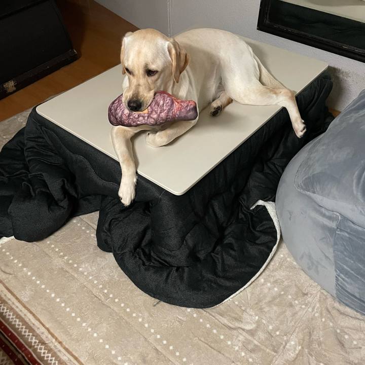 D89012fe d839 412e a533 bb498c80d26a 1640555658256