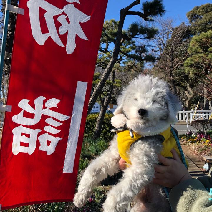 D890410a 9a7e 42b9 825e 9d182aae0a9e 1609581050945