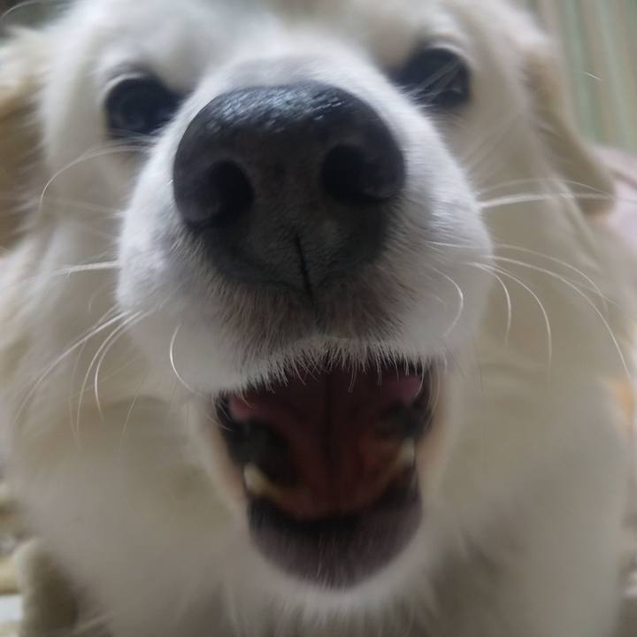 D8905d9b e94d 4c52 85b0 f112edb8ef65 1640835595970