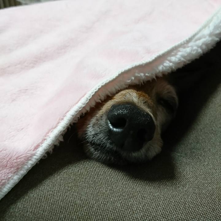 D8908327 5fa9 45bc bf0e ee6b921b3fe6 1507453611321