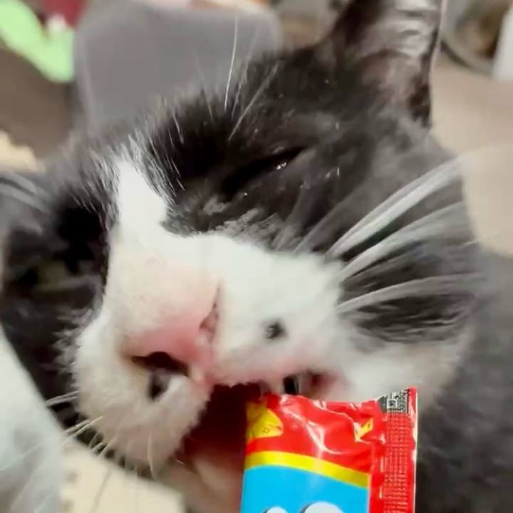 D8908613 ab95 4ec1 9389 b3dfa143a1ab 1745920210560