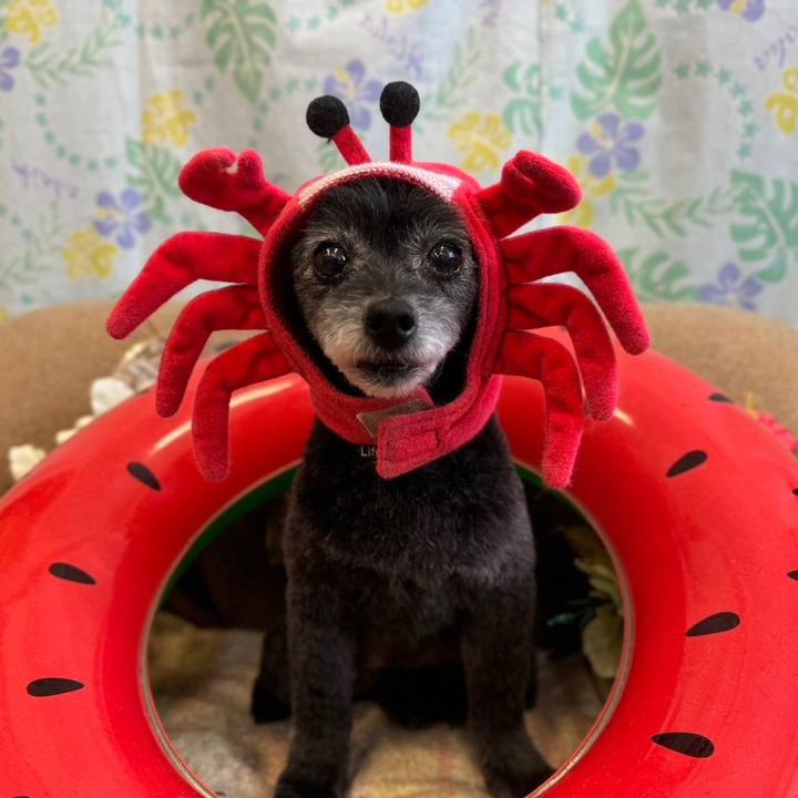 D8908732 25de 4217 af32 7be8e6bad755 1723428353025