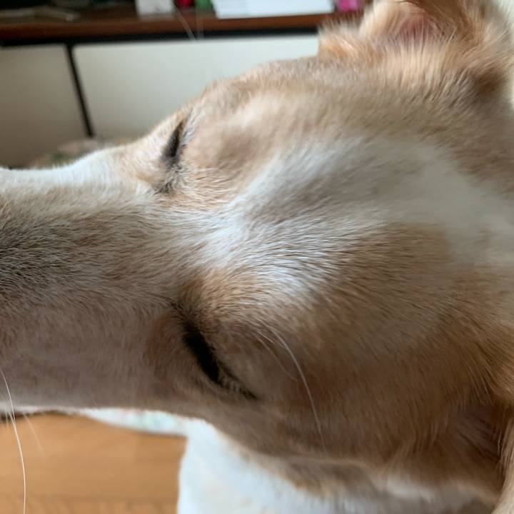 D8909429 a476 452b bbf5 4767786c885f 1572825916012