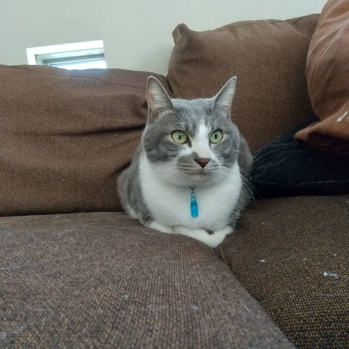 D890cd99 3cdb 42e0 b99f 3c5927c74e84 1641088352395