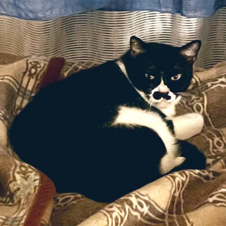 D8911027 7416 40f2 ae77 19c061a15525 1697035634688