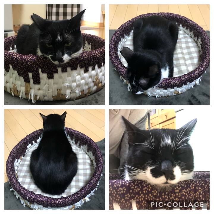 D8912688 b69a 4b22 9383 00ea8c0a5415 1573225997404