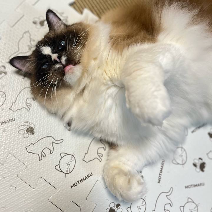 D8912a4b 3ea4 4978 b034 ff1fc6094a33 1710763051481