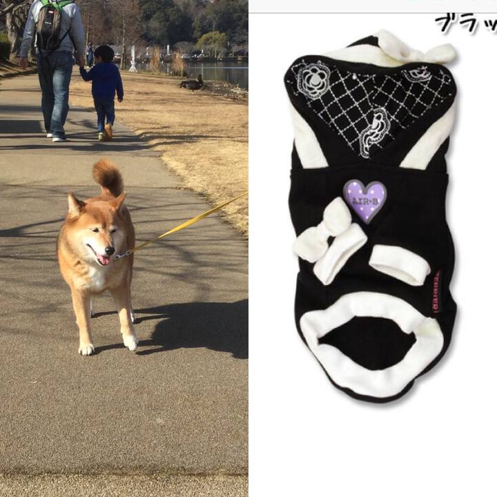 D8912a99 3ec9 43f5 b339 94dc1ba76e14 1549345850726