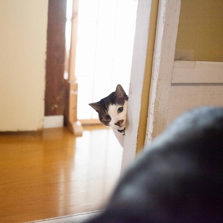 D8913d54 2c67 4979 a393 e9f20da8183c 1576466618199