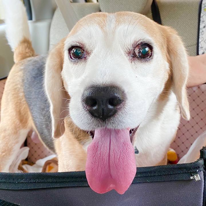 D8914109 b0c6 4411 8658 adfab1db207b 1594094161961