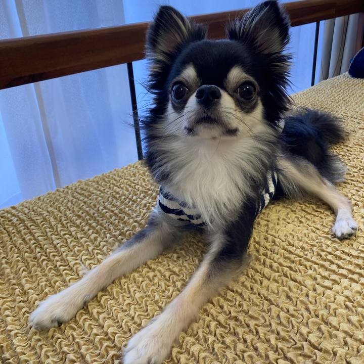 D89144ee 5337 43e8 a2c1 0a05797a37d5 1653745123447