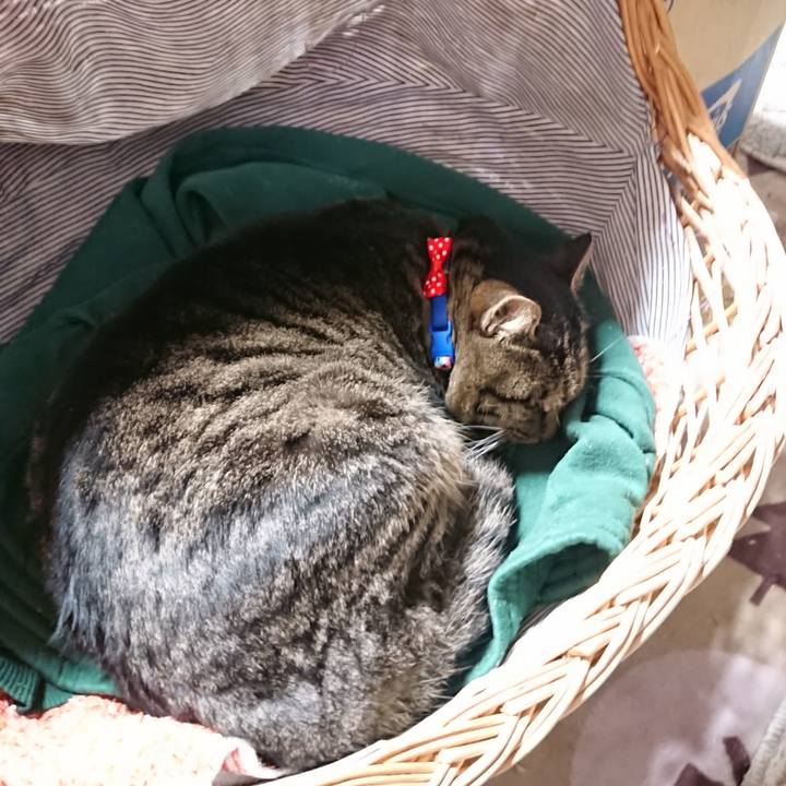 D89149a4 4e51 428a a450 3abe587132a5 1640429963443