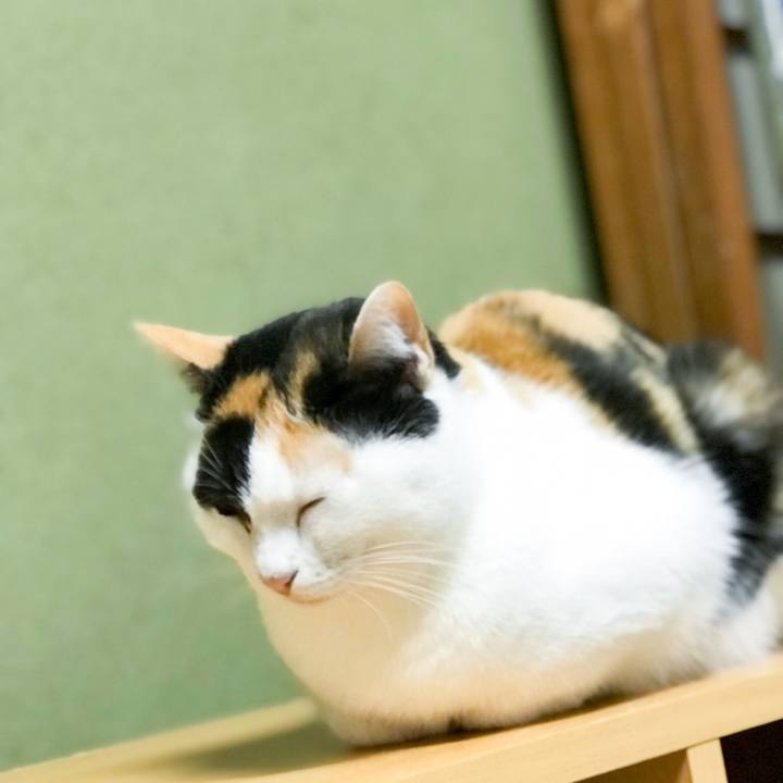 D891527d 5d68 40f4 aefa 2ad5f70807a7 1514510259434