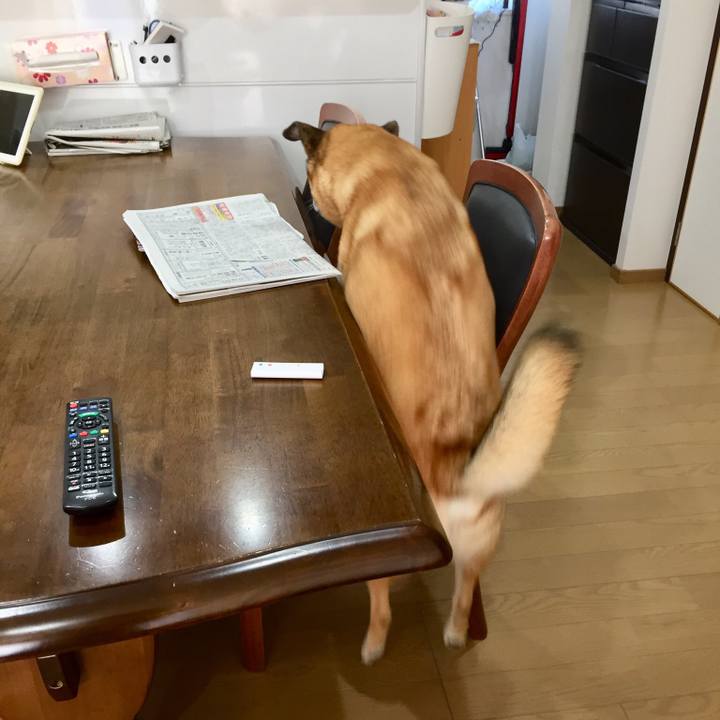 D8924704 e03d 4f00 b6a6 22ad7fa122d2 1541633560411