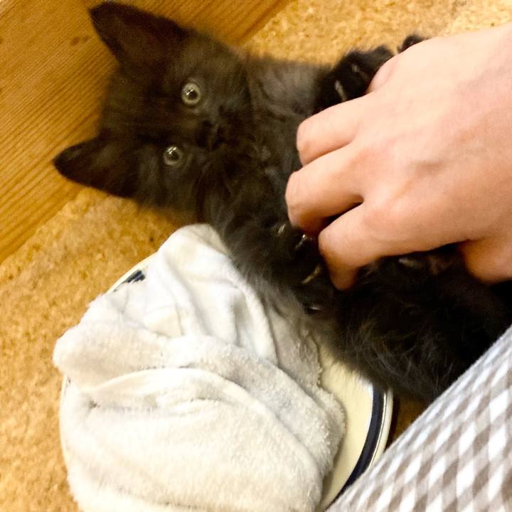 D8926357 a191 4daf b696 e845322a04bb 1698010936964