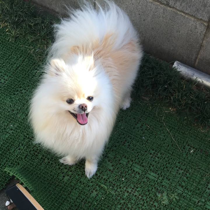 D892cba1 c063 46ea b4ad 8f80fbf1ecfb 1521011956152