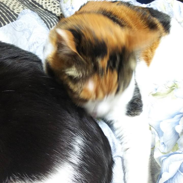 D892d8d7 32ee 4c9e b0ac 5f3a9a9a8805 1546692559221