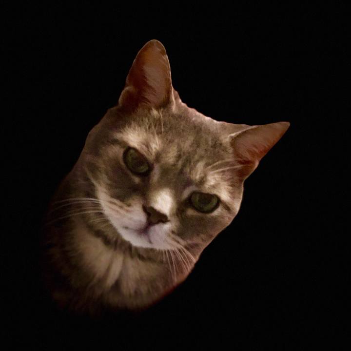 D892f503 0aea 48b5 9b05 8a3c176afc0c 1516533244177