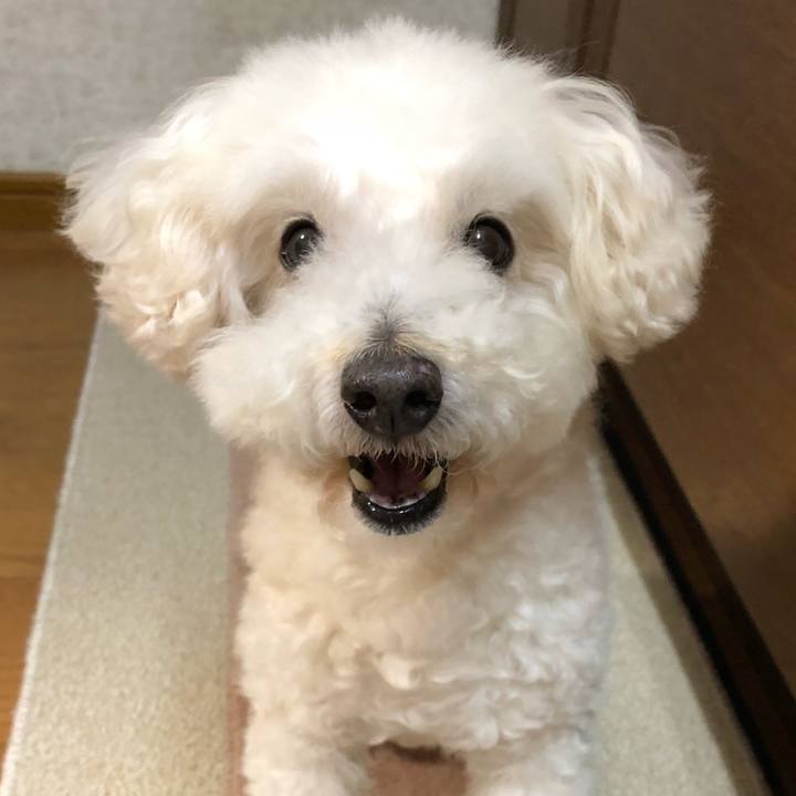 D893011a 47e5 4d6f 8425 974a20eeb8f9 1523804501516